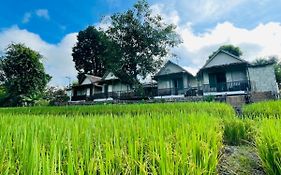 Krathom Doi Luang